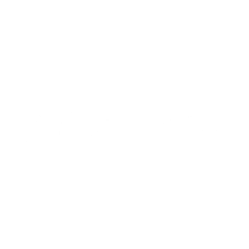 logo carmingnac
