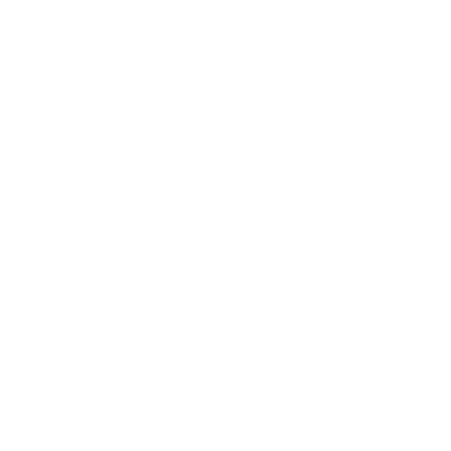 logo jp morgan