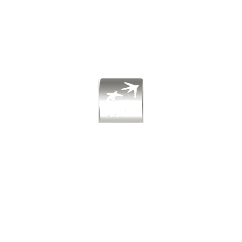 logo bnp paribas